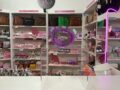 PALETA DE SOMBRA Jelly C