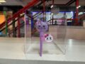 Gloss lilly Cat